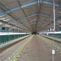 commerical prefabricated broiler shed steel structurel chicken house